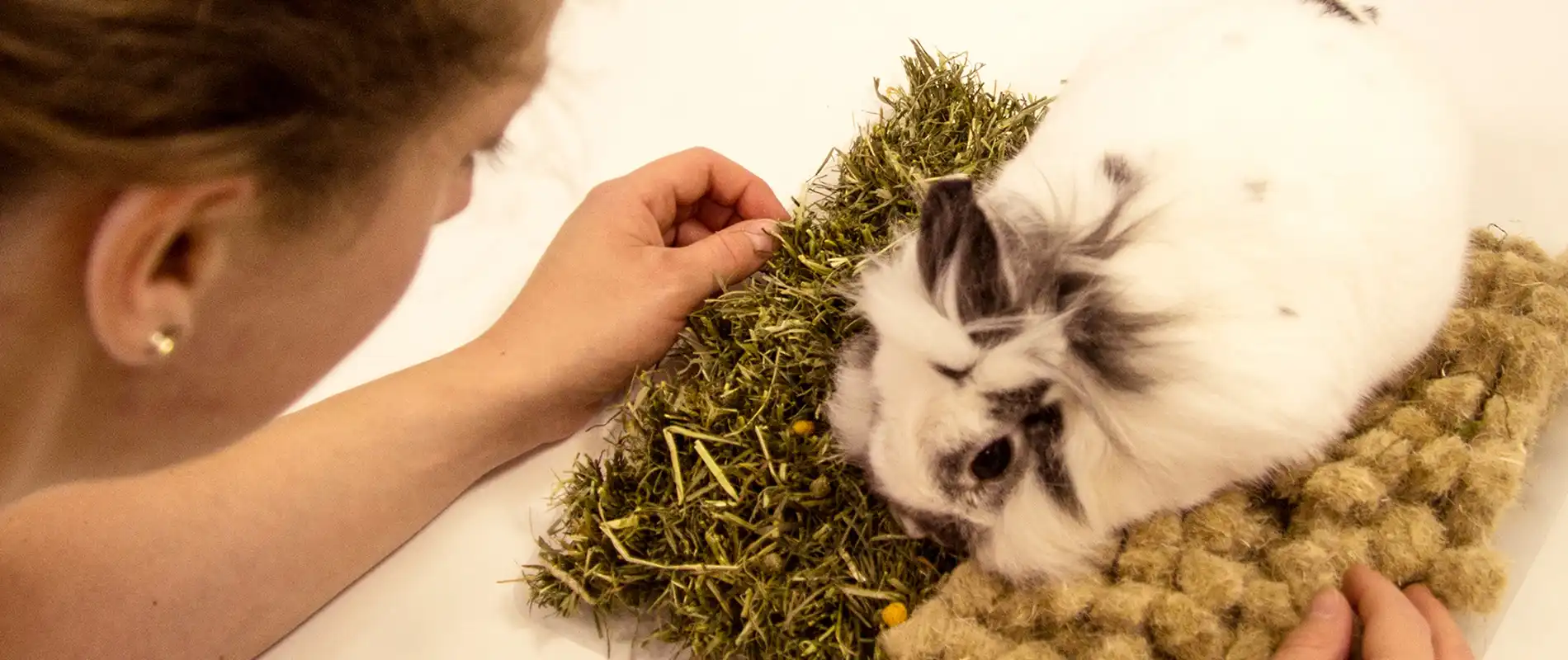 Snuffelmat en graafmateriaal voor konijnen